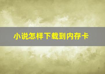 小说怎样下载到内存卡