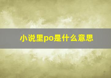 小说里po是什么意思