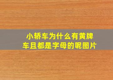 小轿车为什么有黄牌车且都是字母的呢图片