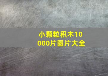 小颗粒积木10000片图片大全