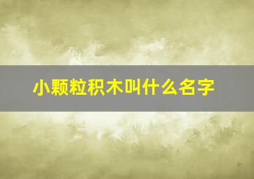 小颗粒积木叫什么名字