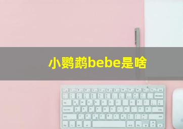 小鹦鹉bebe是啥