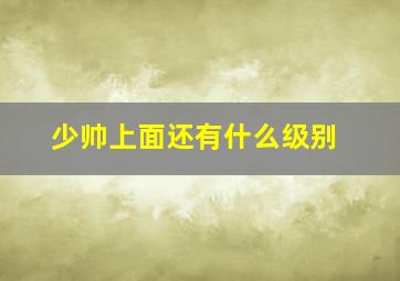 少帅上面还有什么级别