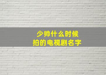 少帅什么时候拍的电视剧名字