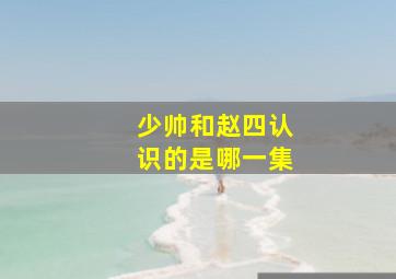 少帅和赵四认识的是哪一集