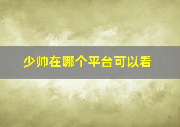 少帅在哪个平台可以看