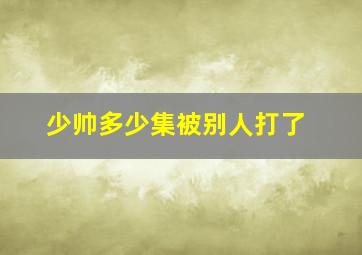 少帅多少集被别人打了