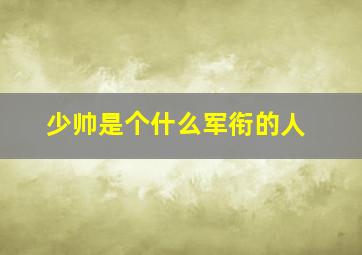 少帅是个什么军衔的人