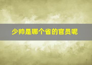 少帅是哪个省的官员呢