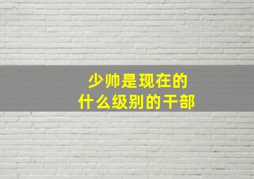 少帅是现在的什么级别的干部