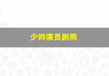 少帅演员剧照