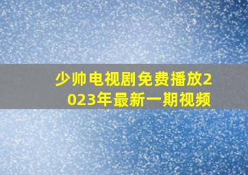 少帅电视剧免费播放2023年最新一期视频