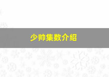 少帅集数介绍