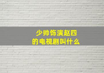 少帅饰演赵四的电视剧叫什么