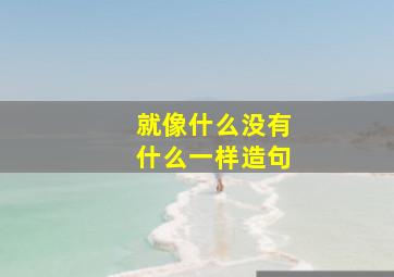 就像什么没有什么一样造句