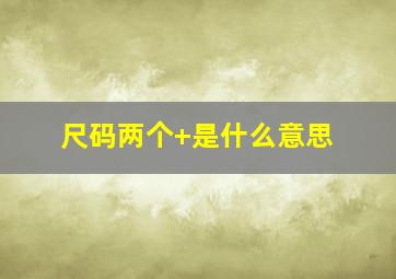 尺码两个+是什么意思