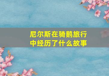 尼尔斯在骑鹅旅行中经历了什么故事