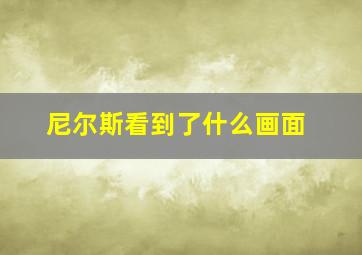 尼尔斯看到了什么画面