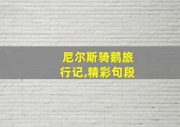 尼尔斯骑鹅旅行记,精彩句段