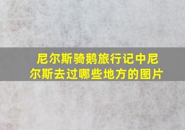 尼尔斯骑鹅旅行记中尼尔斯去过哪些地方的图片