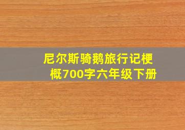 尼尔斯骑鹅旅行记梗概700字六年级下册