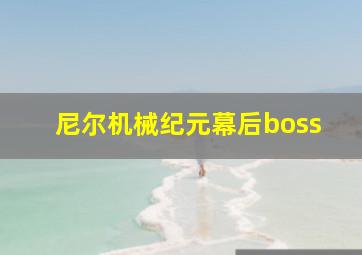 尼尔机械纪元幕后boss