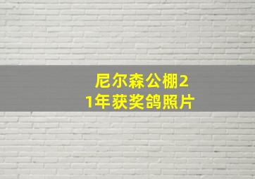 尼尔森公棚21年获奖鸽照片