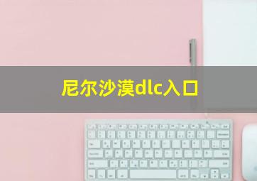 尼尔沙漠dlc入口