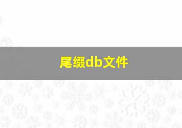 尾缀db文件