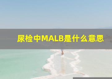 尿检中MALB是什么意思