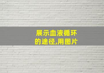 展示血液循环的途径,用图片