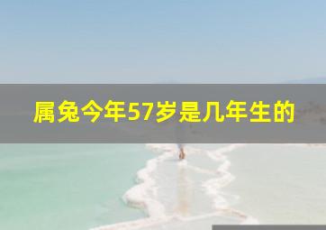 属兔今年57岁是几年生的