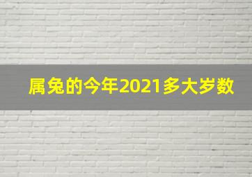 属兔的今年2021多大岁数