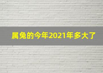 属兔的今年2021年多大了