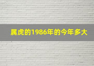 属虎的1986年的今年多大