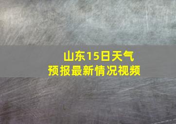 山东15日天气预报最新情况视频