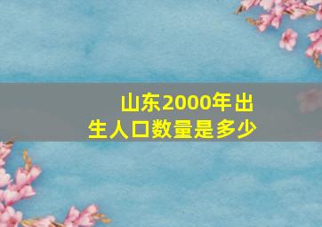 山东2000年出生人口数量是多少