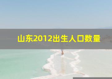 山东2012出生人口数量