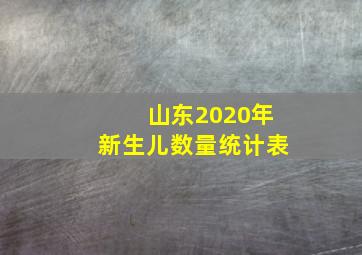 山东2020年新生儿数量统计表