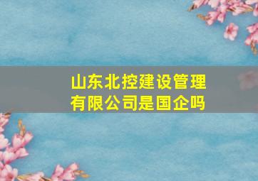 山东北控建设管理有限公司是国企吗