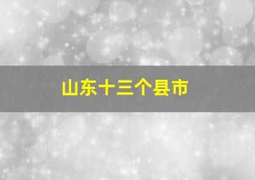 山东十三个县市