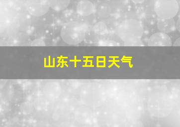 山东十五日天气