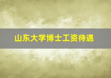 山东大学博士工资待遇