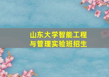 山东大学智能工程与管理实验班招生