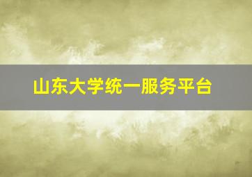 山东大学统一服务平台