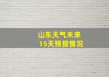 山东天气未来15天预报情况