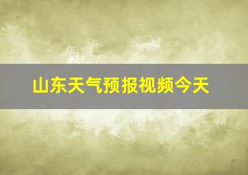 山东天气预报视频今天