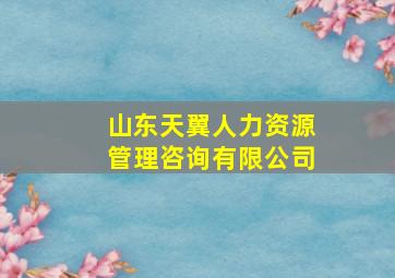 山东天翼人力资源管理咨询有限公司