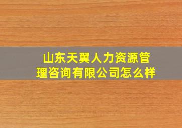 山东天翼人力资源管理咨询有限公司怎么样