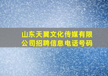 山东天翼文化传媒有限公司招聘信息电话号码